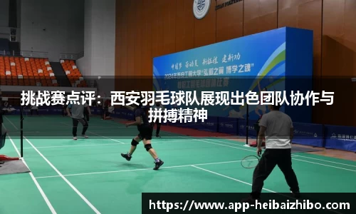 黑白体育高清直播