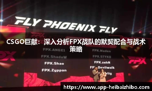 CSGO巨献：深入分析FPX战队的默契配合与战术策略